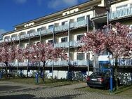 1-Zimmer-Wohnung in zentrumsnaher Lage - Greifswald