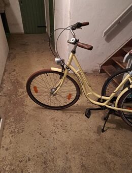 Suche die älter Dame und ihren Neffen die das Damen City bike mit mir getauscht haben!! - Bremen