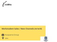 Werkstudent Sales / New Channels (m/w/d) - Ulm