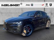 Alfa Romeo Stelvio, 2.2 Veloce Q4, Jahr 2024 - Hasbergen