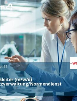 Abteilungsleiter (m/w/d) Stammsatzverwaltung/Normendienst - Schwendi