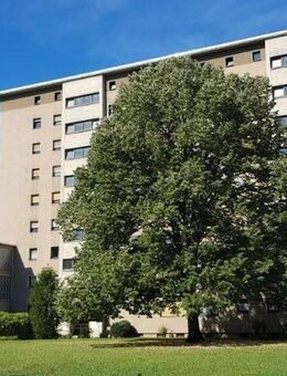sofort Einzugsbereit, kpl. renovierte 3 Zimmerwohung im 1. OG, ohne Maklerkosten - Offenbach (Main)