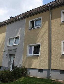 Hier schlägt besonders das Herz für Singles und Paare - Oer-Erkenschwick