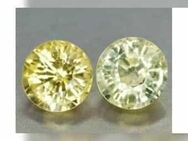 0,81 ct , schöne gelbe Golden Yellow Saphire , RD Fac. ( 2 Stück ) - Neubrandenburg