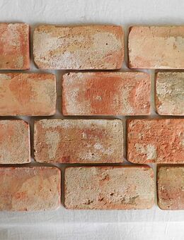 Antik Boden ziegel platten fliesen Weinkeller alte Mauer Back Steine Terracotta Feldbrand Wasserstrich - Salzatal