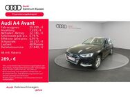 Audi A4, Avant 40 TDI quattro °, Jahr 2021 - Kassel