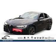 Alfa Romeo Giulia, 2.0 Turbo Competizione AD El Fondsitzverst, Jahr 2023 - Oberursel (Taunus)