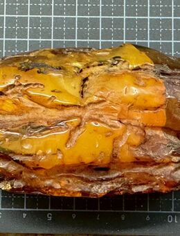 Grosser baltischer Natur-Bernstein 134gr Baltic Amber rough piece - Köln