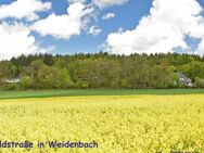 Baugrundstück im exklusiven Landhaus-Wohngebiet - Weidenbach (Landkreis Rhein-Lahn-Kreis)