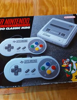 Nintendo Mini - Witten