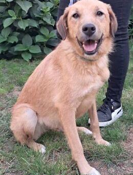 Isildinha ist gut erzogen - Donaueschingen