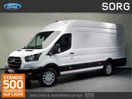 Ford Transit, 2.0 EcoBlue 350 L4 Trend EXPRESS-LINE, Jahr 2023 - Fulda