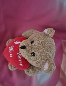 Kleiner Plüsch Teddy mit Herzchen - Bautzen
