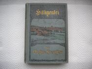 Hilligenlei,Gustav Frenssen,G.Grote'sche Verlagsbuchhandlung,1905 - Linnich