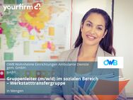 Gruppenleiter (m/w/d) im sozialen Bereich – Werkstatttransfergruppe - Mengen