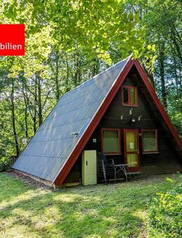 Diese Ferienimmobilie bietet Erholung, eingebettet im Wald des Feriendorfes am Twistesee - Bad Arolsen
