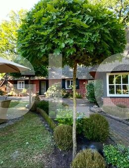 Reetdach-Traum auf herrlichem Grundstück im Künstlerort Fischerhude - Ottersberg