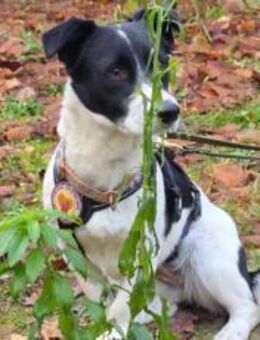 Klein Julika ist ein wahrer Schatz - München