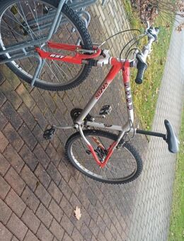 Fahrrad 26 zoll - Borna