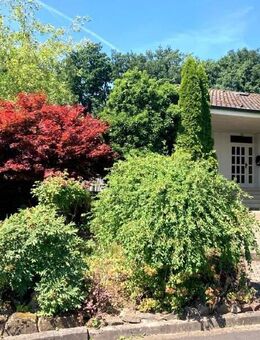 EINFAMILIENHAUS MIT ELW UND GROSSEM GRUNDSTÜCK ... - Fulda
