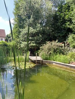 Traumhaus mit Schwimmteich und viel Platz - Absberg