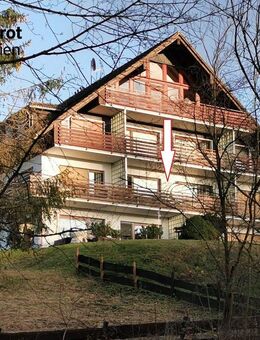 Moderne Eigentumswohnung im Harz - Braunlage-Hohegeiß. - Braunlage