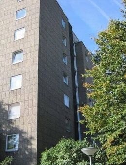 Schöne Wohnung sucht Mieter: ideale 1-Zi.-Single-Wohnung - Bonn