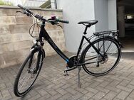 Kettler, Damenrad, Traveller 5 Tour, 28“ - Bonn Pennenfeld