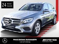 Mercedes GLC 220, d Exclusive, Jahr 2017 - Heide