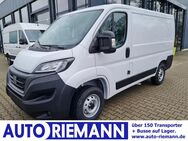 Fiat Ducato, 30 Kasten L1 KOMFORT, Jahr 2023 - Cloppenburg