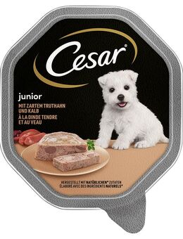 Cesar Junior Schale 14 x 150 g - mit Truthahn und Kalb
