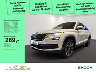 Skoda Kodiaq, 2.0 TDI Drive 125, Jahr 2020 - Immenstadt (Allgäu)