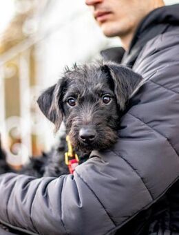 Teo, kleiner Abenteurer, ca. 4M in 76316 - Vaterstetten