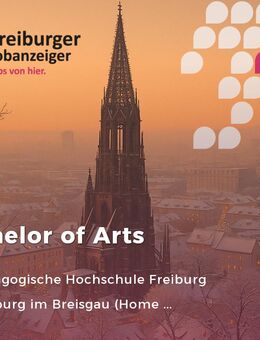 Sachgebietsleiter/in Haushalt und Organisation (m/w/d) (bis Bes.Gr. A 11 gD oder E 10 TV-L, soweit tarifl. Voraussetzungen erfüllt) - Freiburg (Breisgau)