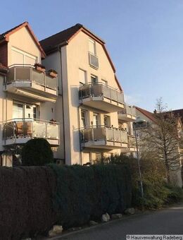 den Wald vor der Haustür - Wachau