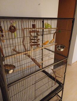 Kanarienvogelpärchen mit Vogelvoliere - Lemgo