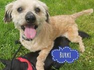 Burki ein kleiner sportlicher Bub - Flörsheim-Dalsheim