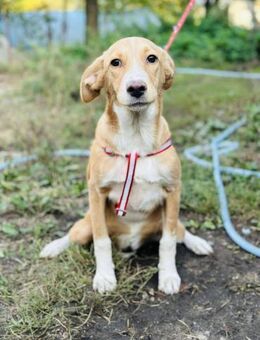 BESMA😍 zaubert dir 1Lächeln ins Gesicht - Mylau