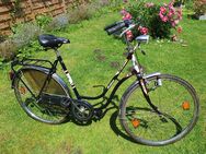 26 Zoll Damen Fahrrad - Wesel