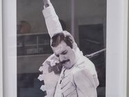 " Achtung QUEEN " Neu Freddy Mercury gerahmt - Wedel