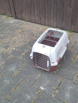 Transport Box - Clipper - Florstadt
