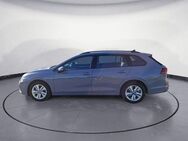 VW Golf Variant, 1.0 TSI Life Golf Life, Jahr 2022 - Reutlingen