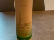 AVON Shampoo - Bottrop Zentrum