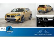 BMW X2 sDrive 18d M Sport X Tempo. SHZ HiFi WiFi LED - Roßtal