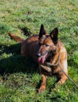 MAJA - viel gemeinsam unternehmen - Overath