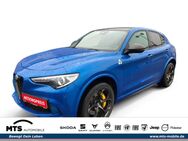 Alfa Romeo Stelvio, 2.9 Q4 Bi-turbo EU6d Quadrifoglio MY21-QUADRIFOGLIO V6 Bi AD El Panodach, Jahr 2021 - Oberursel (Taunus)