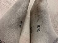 Genieß den Duft meiner 4 Tage getragenen Socken - Euskirchen