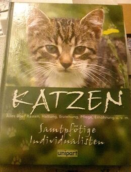 Katzenbuch alles über Rassen,Erziehung u.s.w - Zerbst (Anhalt) Zentrum