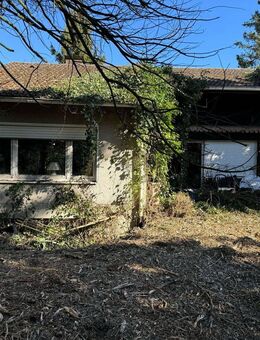 Freistehender Bungalow im Dornröschenschlaf in bevorzugter Wohnlage von Bad Honnef-Aegidienberg - Bad Honnef