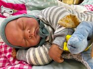 Reborn Puppe/Baby - Sankt Augustin